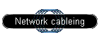 Network cableing